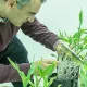 plant-nutrition-and-physiology-lab
