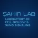sahinlab
