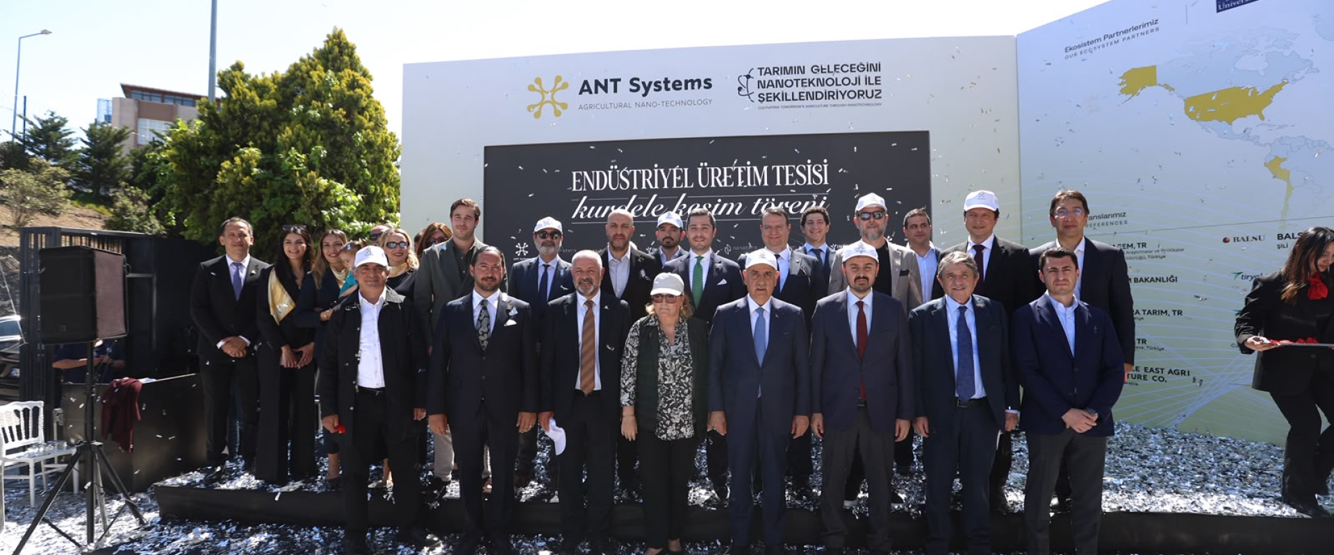 ant-systems
